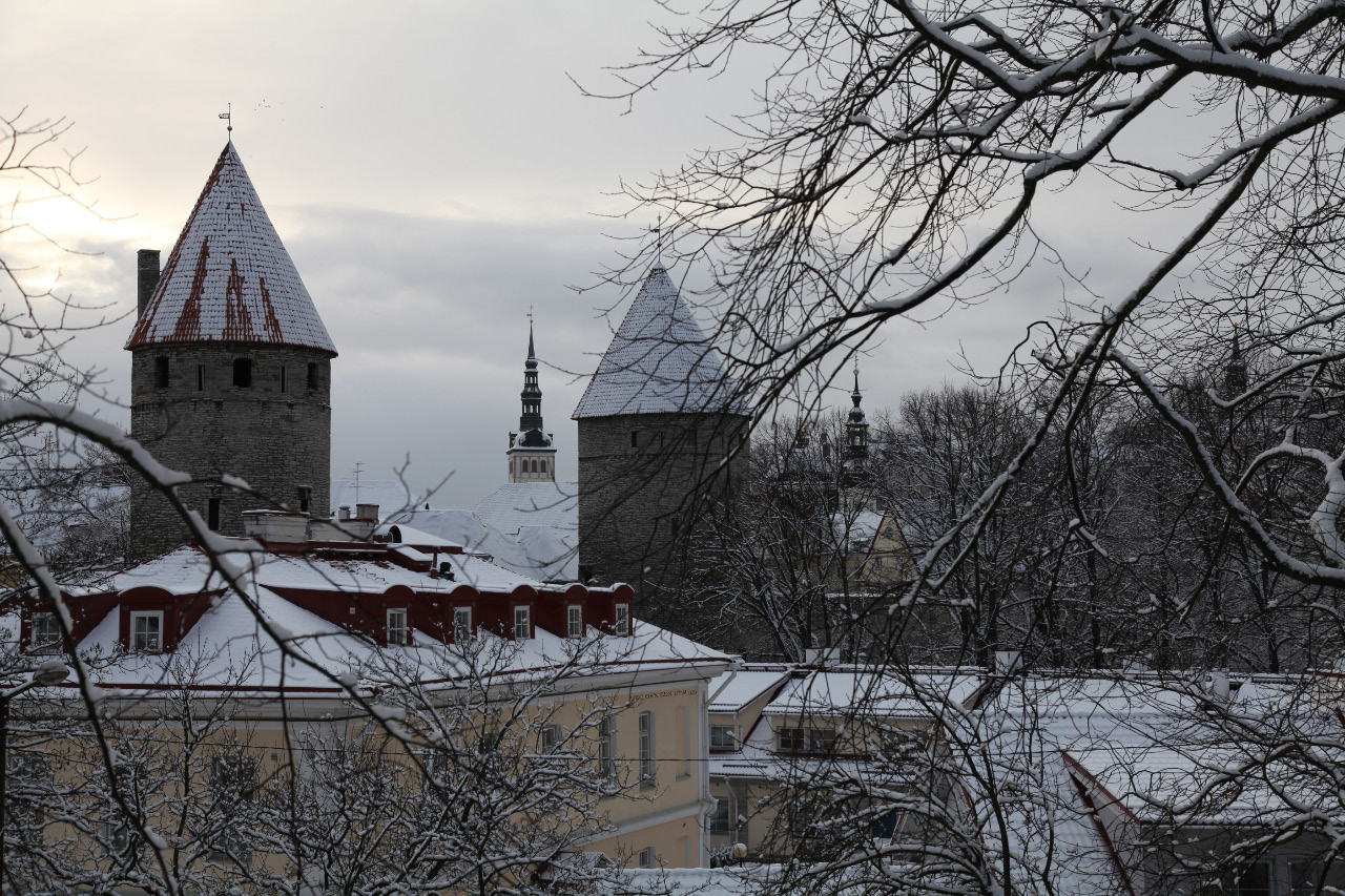 Niguliste Kirik - Saint Nicholas' Church and Tallinna Raekoda - Tallinn Town Hall
