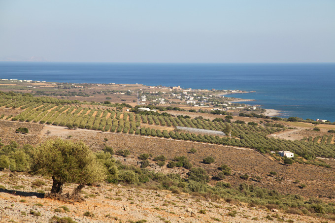 southern Cretan olives and Mediterranean