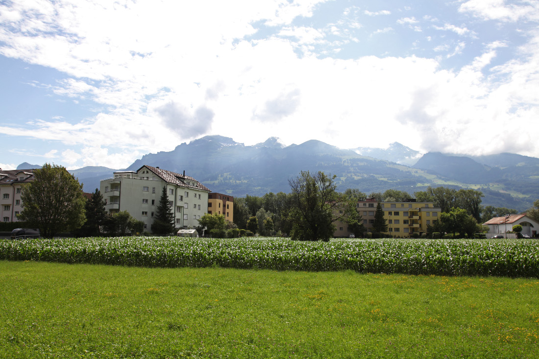 tenement housing Liechtenstein style