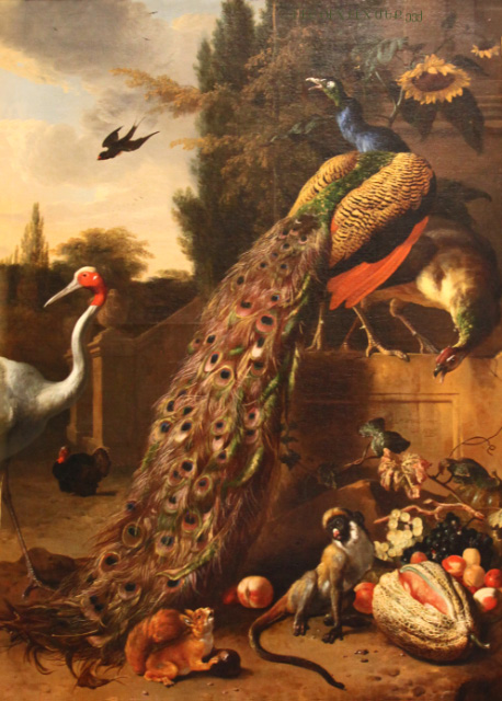 Peacocks by Melchior d'Hondecoeter