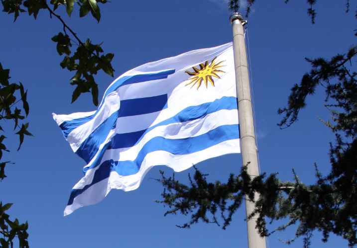 flag of Uruguay and the sun